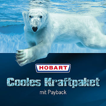 Logo HOBART auf dem Hintergrund mit einem Eisbär im Wasser