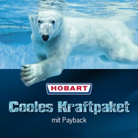 Logo HOBART auf dem Hintergrund mit einem Eisbär im Wasser